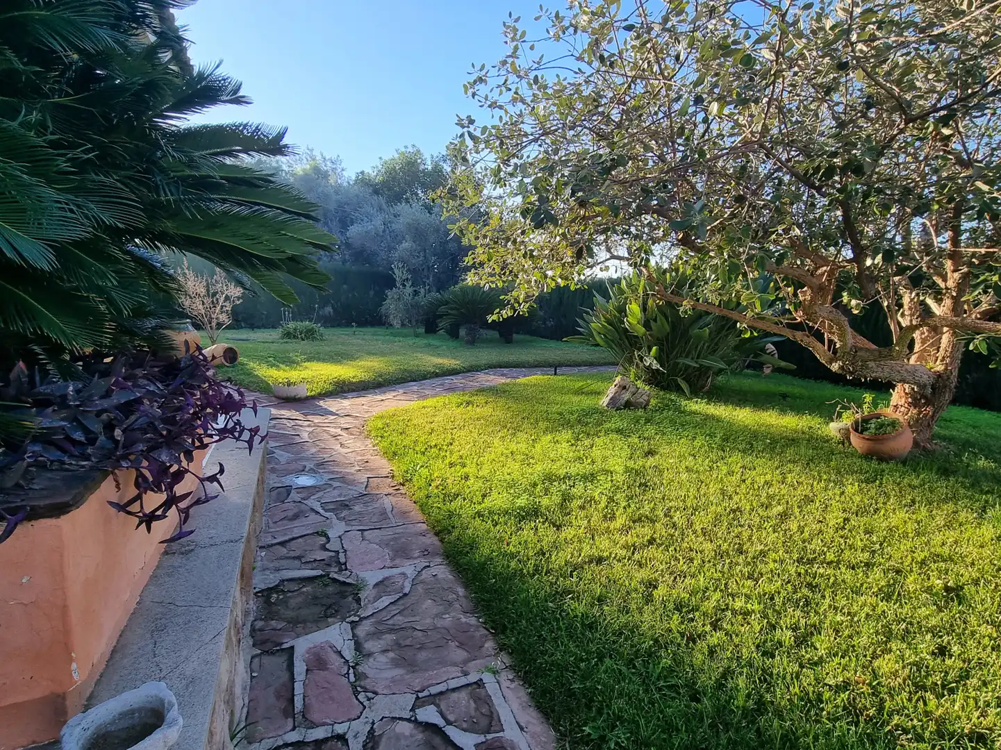 Jardín de Casa o chalet en venta en Vila-real con Calefacción