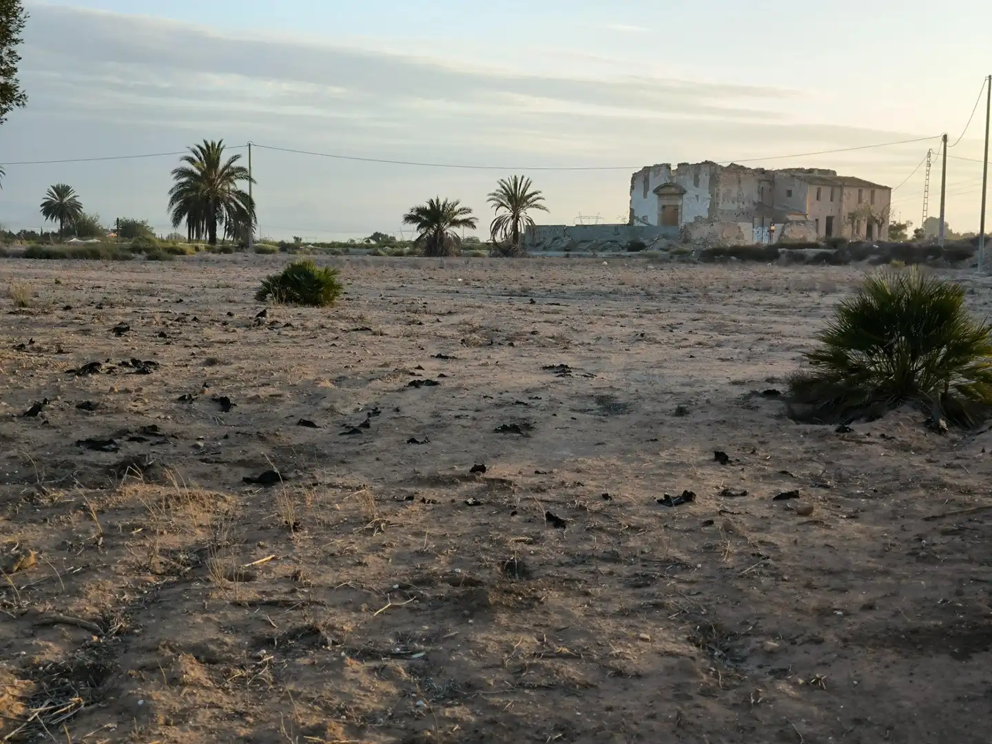 Terrain rustique à vendre à La Marina, imagen 2