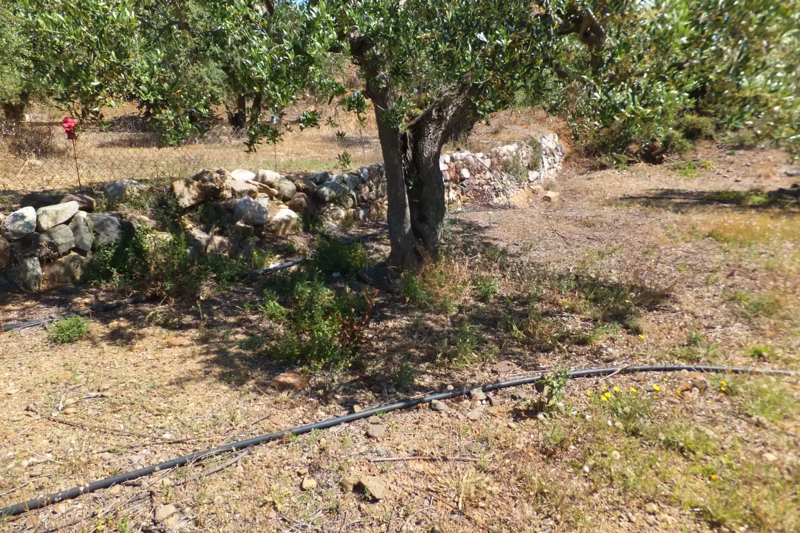 Terreno rústico en venta en Botarell, imagen 37