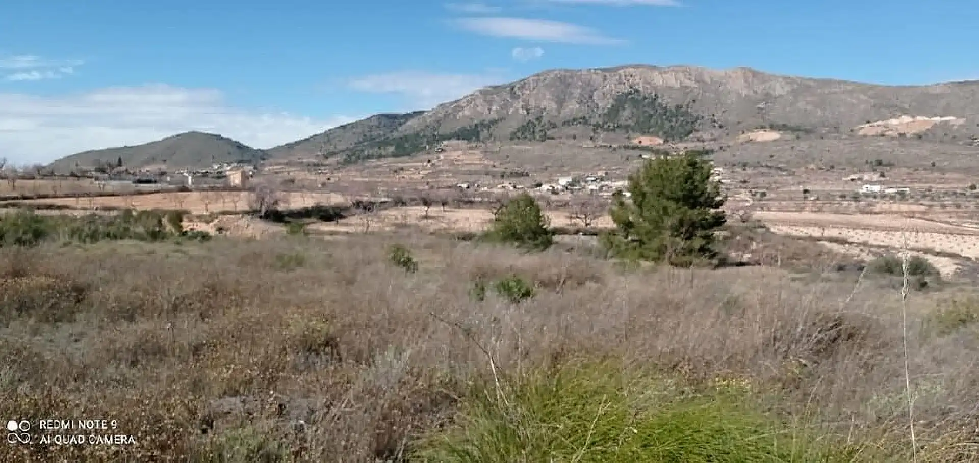 Terreny rústic en venda a La Romana, imagen 4
