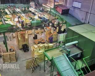 Nau industrial de lloguer a Nules