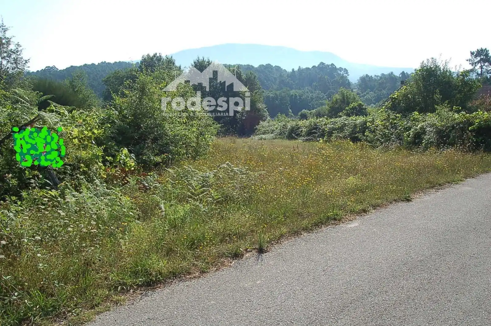 Rural land for sale in Salvaterra de Miño