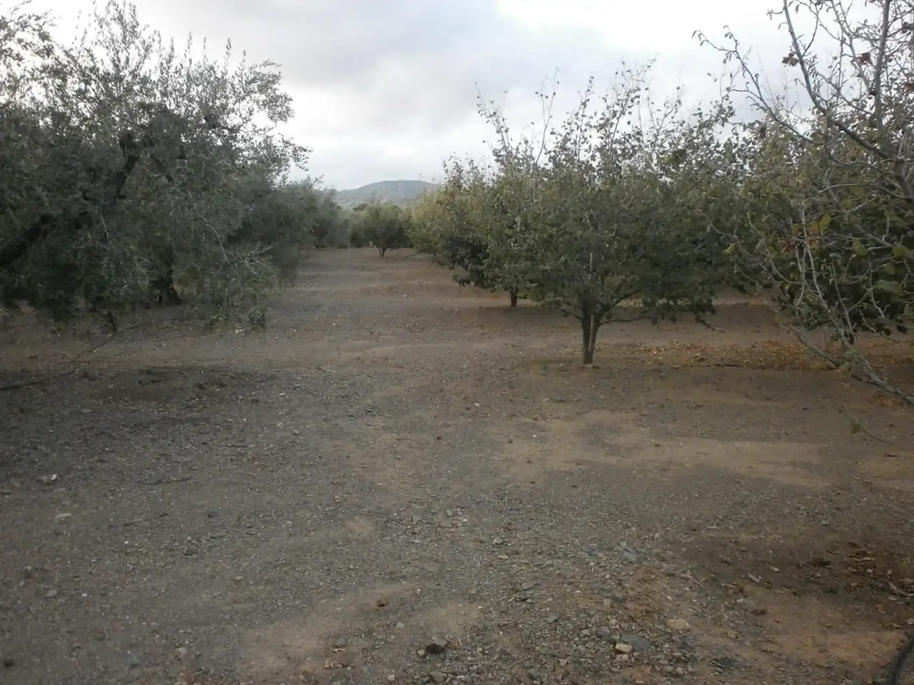 Rural land for sale in Carrer Pont del Cinto, imagen 23