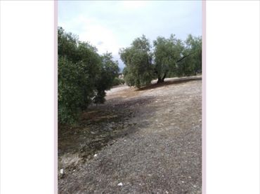 Terreno residenziale in vendita a Poleares