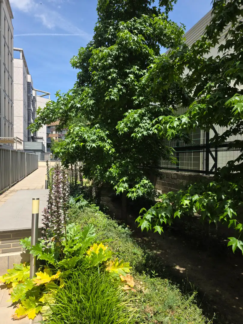 Jardín de Piso en venta en Madrid con Aire acondicionado, Parquet y Terraza
