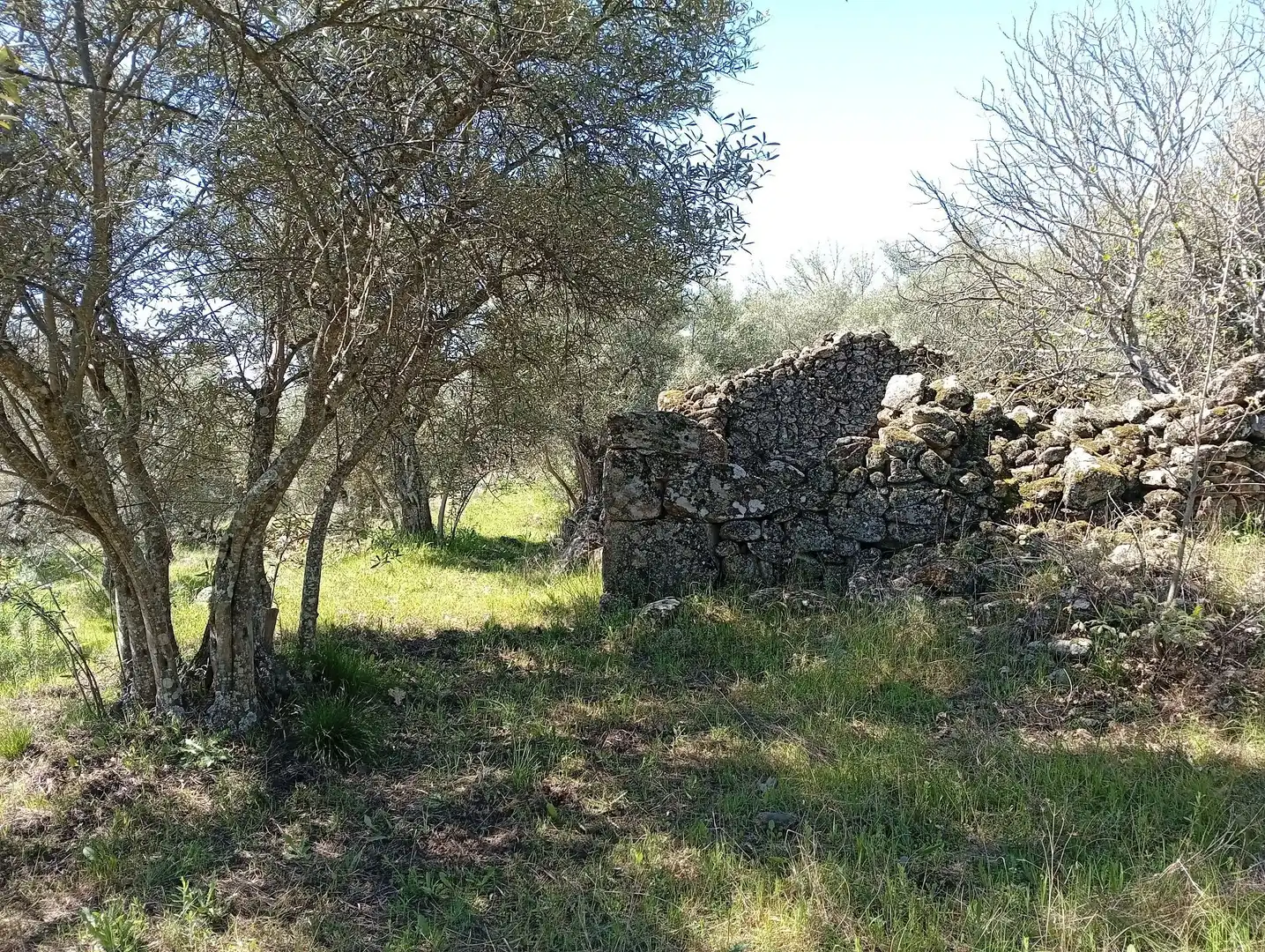 Terreni e lotti in vendita a Valverde de la Vera, imagen 46