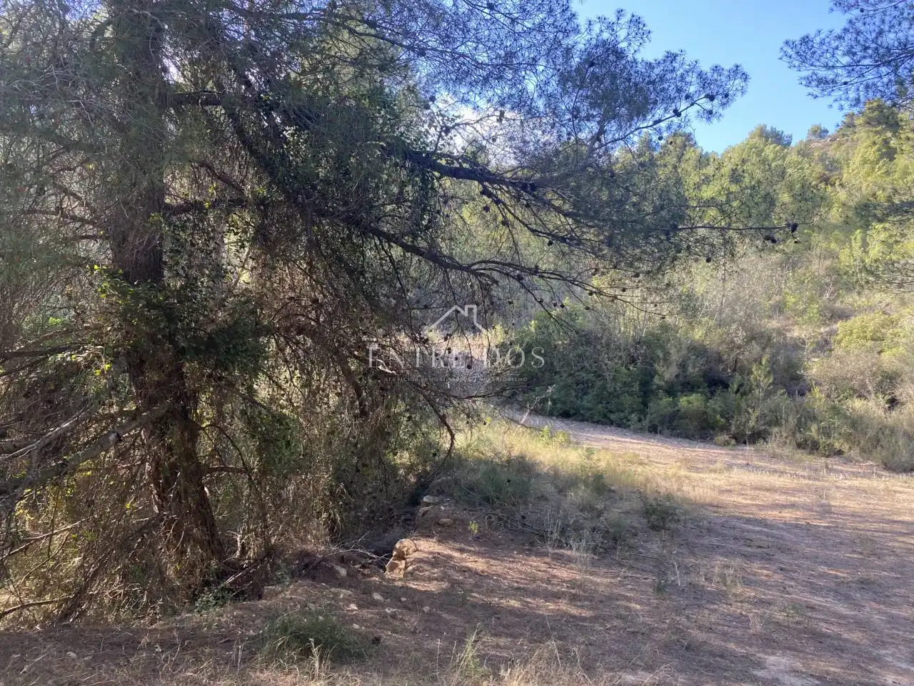 Rural land for sale in 18 parcela 79, imagen 8
