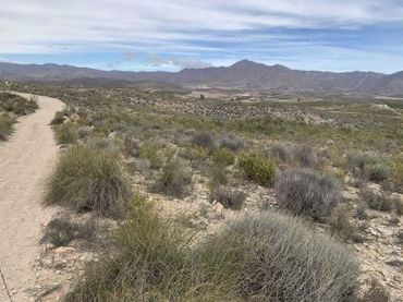Lands and plots for sale in Uleila del Campo