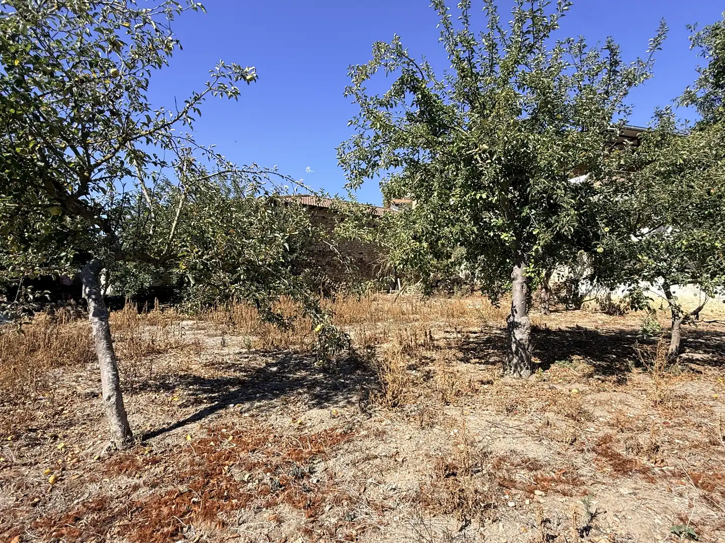 Finca rústica en venda en Medina de Pomar amb Jardí privat, Terrassa i Traster