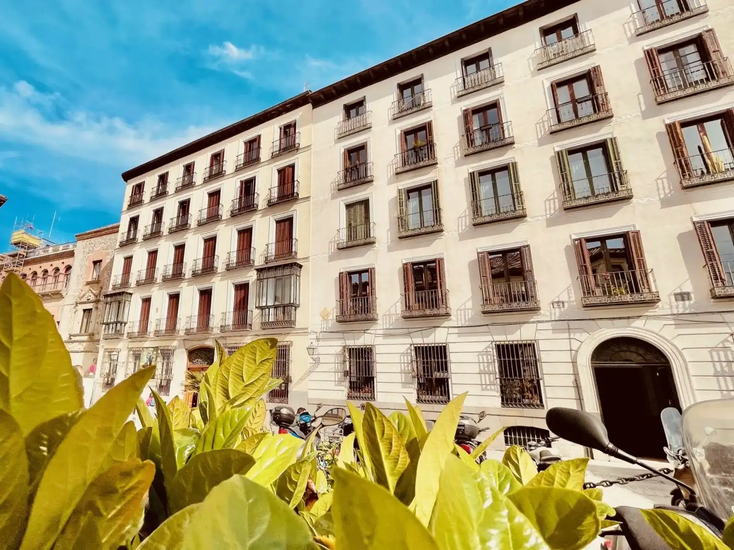 Office space with terrace to rent in Plaza del Cordón 2, imagen 26