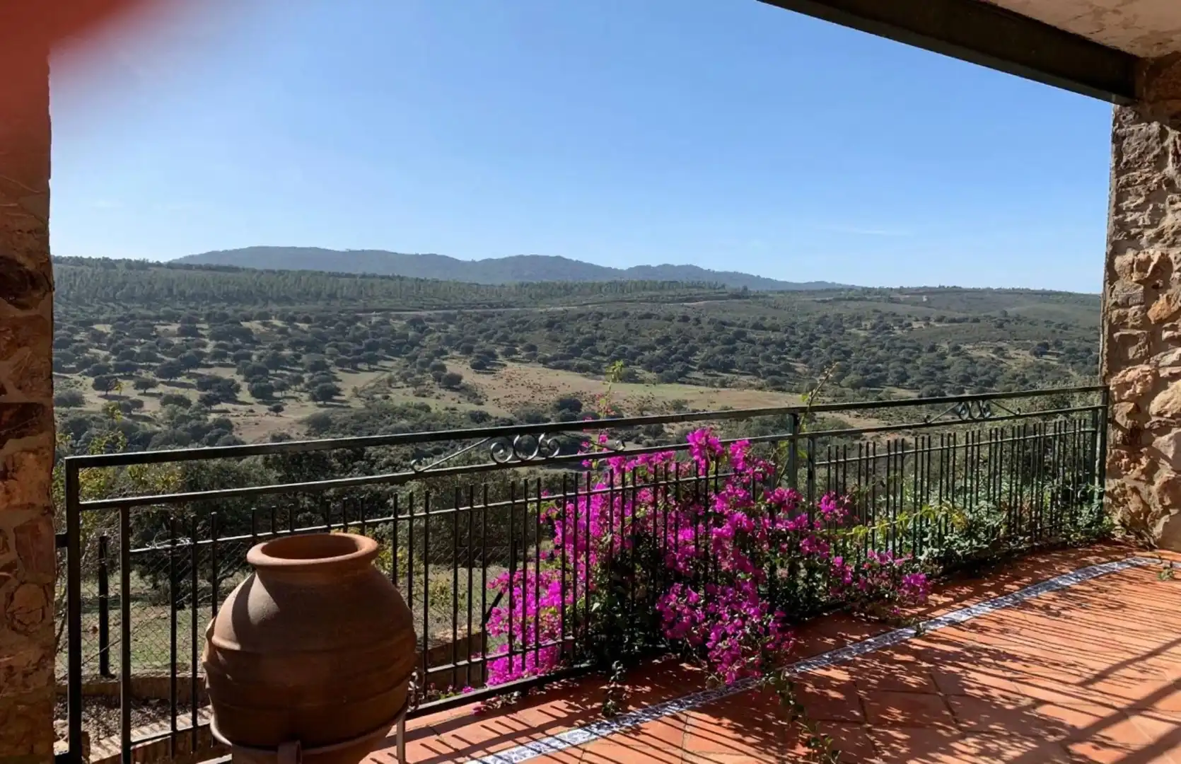 Garden of Land for sale in Garbayuela