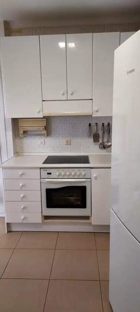 Cocina de Piso en venta en Getxo  con Terraza, Amueblado y Lavadora