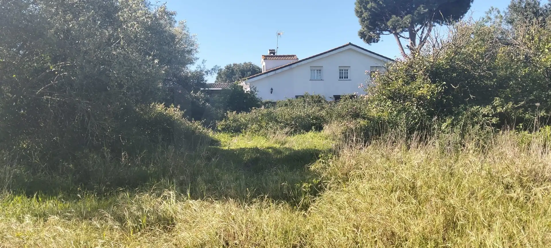 Terreni e lotti in vendita a Los Franceses – La Vega, imagen 5