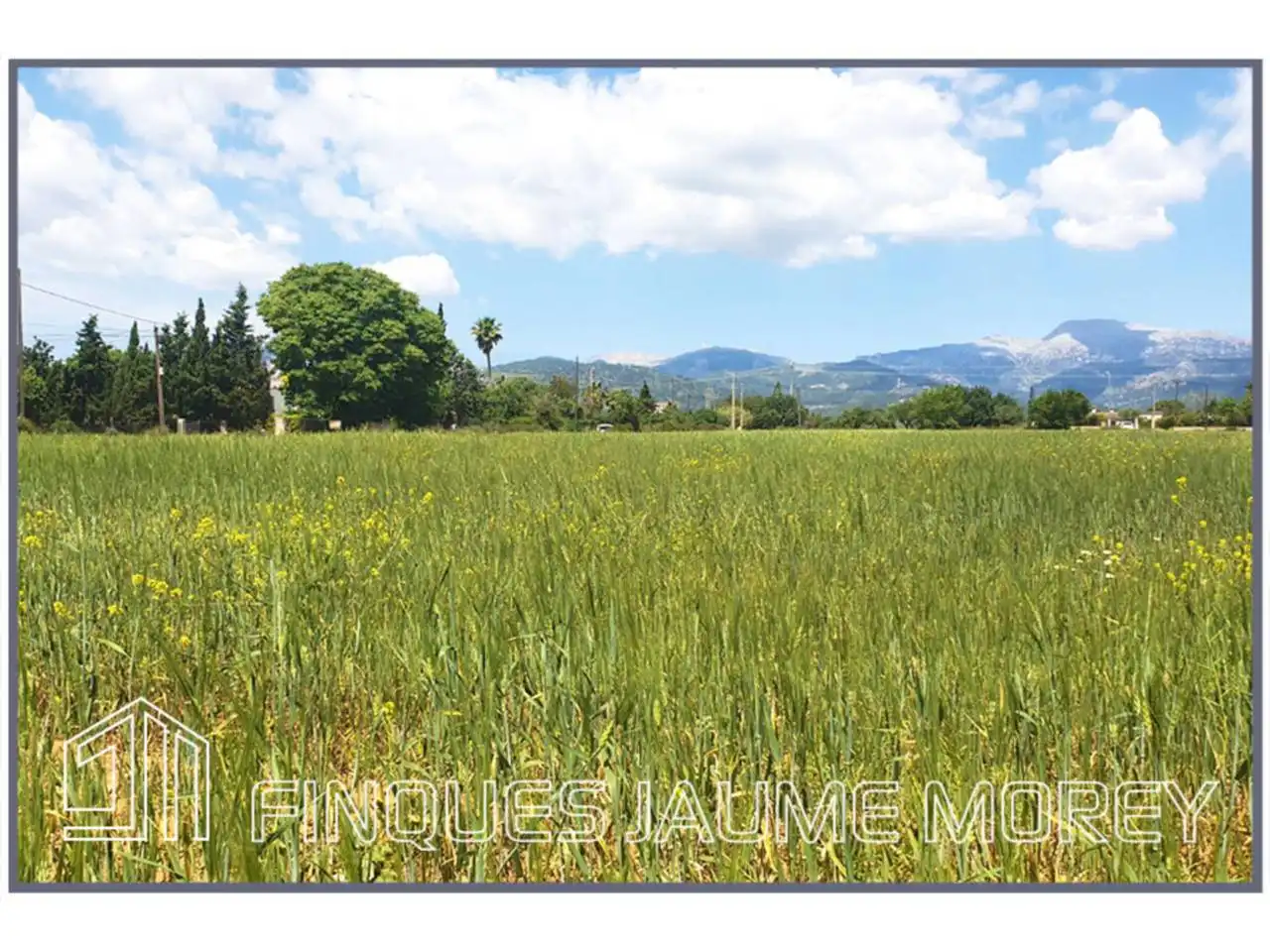 Residential for sale in Inca