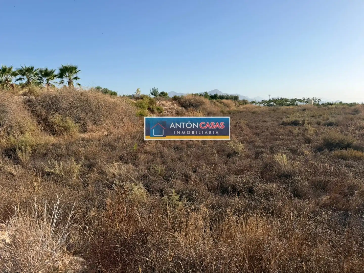 Rural land for sale in Novelda
