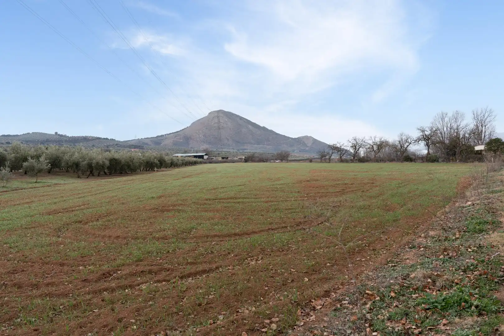 Terrenys i solars en venda a Polígono 23 Parcela 63 LA ZANJA. ALBOLOTE (GRANAD 23, imagen 11