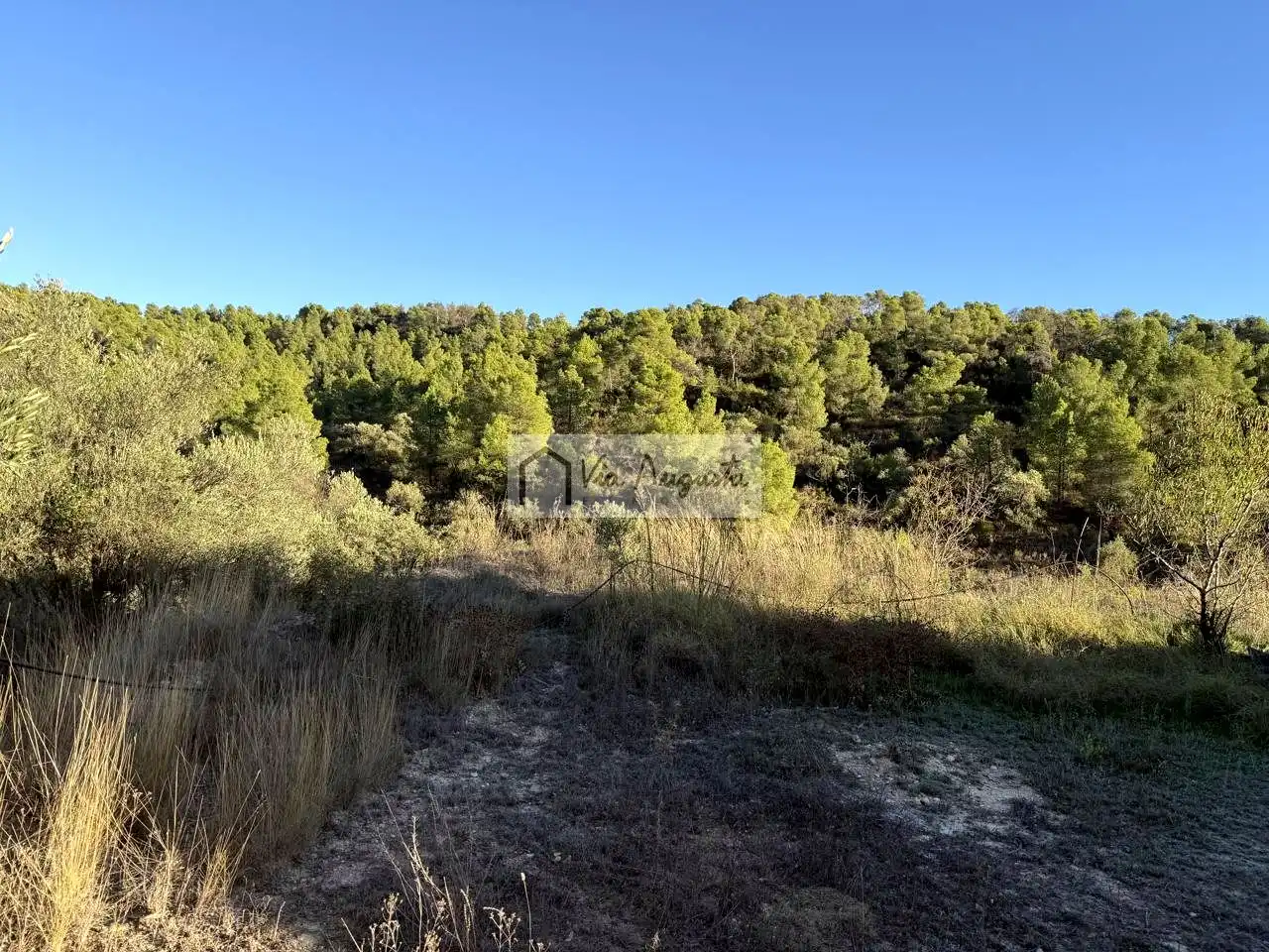 Terreno en venta en Vinebre