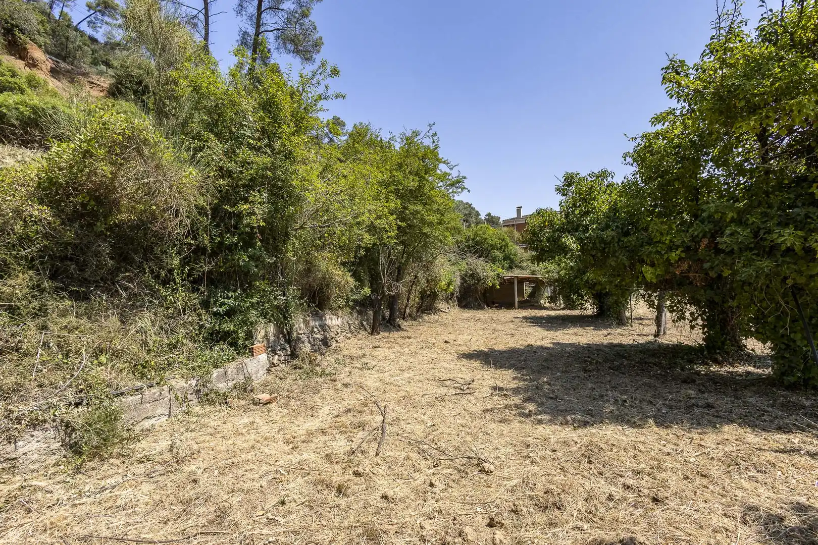 Casa con jardín en venta en Torrelles de Llobregat, imagen 16