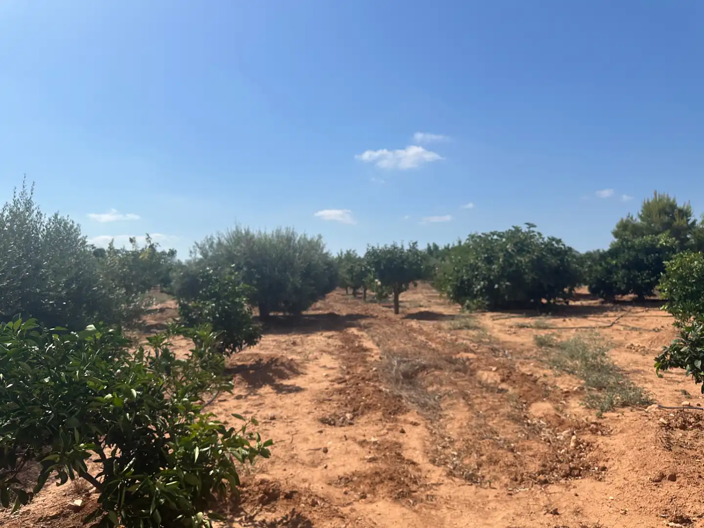 Country house for sale in Pasaje Los Segados, imagen 19