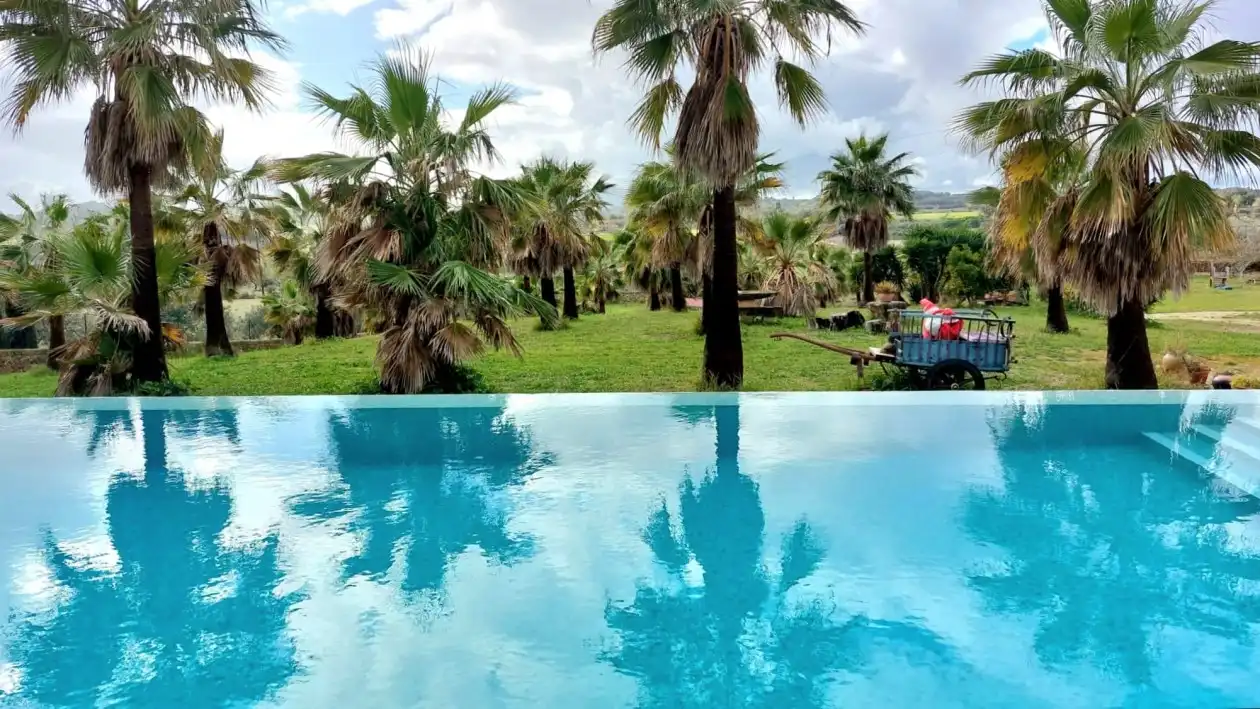 Piscina de Casa o chalet en venta en Lloret de Vistalegre