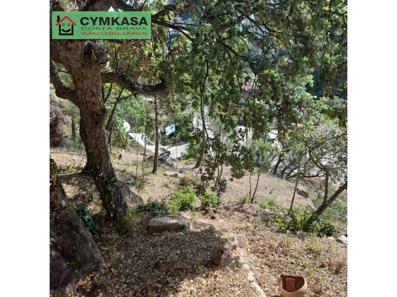 Casa con giardino in vendita a Serra Brava, imagen 18