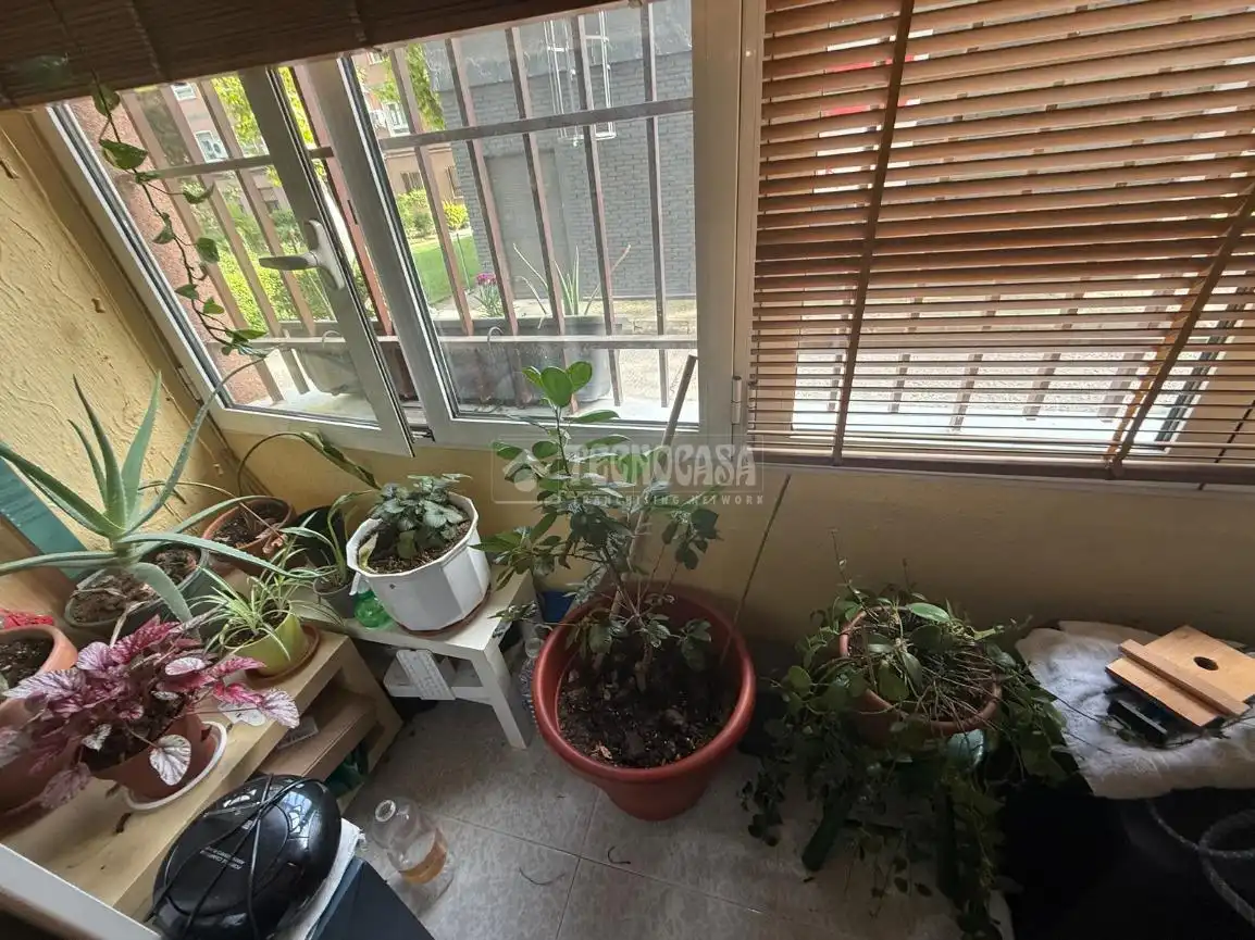 Piso en venta en Alameda de Osuna