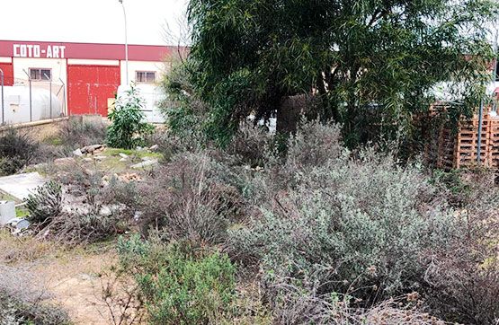 Residencial en venta en Almonte