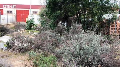 Photo 2 of Residential for sale in Pinar Grande, -1, Almonte ciudad, Huelva