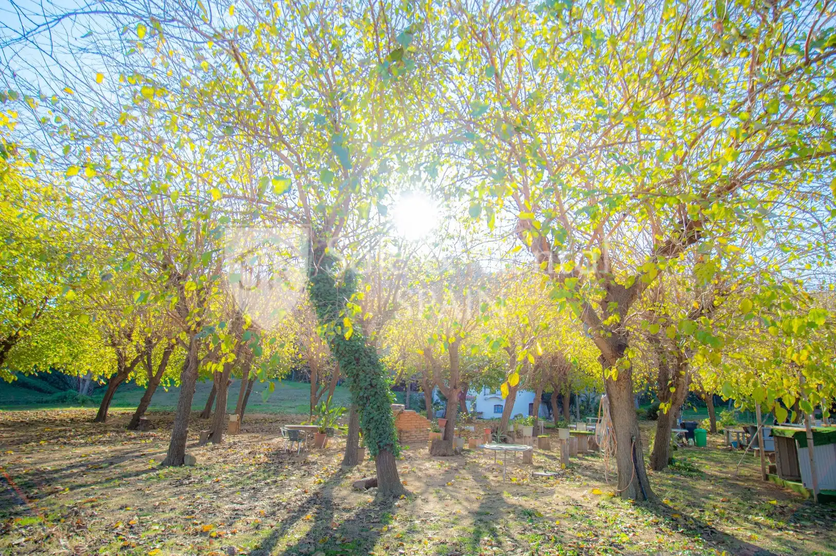 Jardí de Finca rústica en venda en Sant Pol de Mar amb Jardí privat i Traster