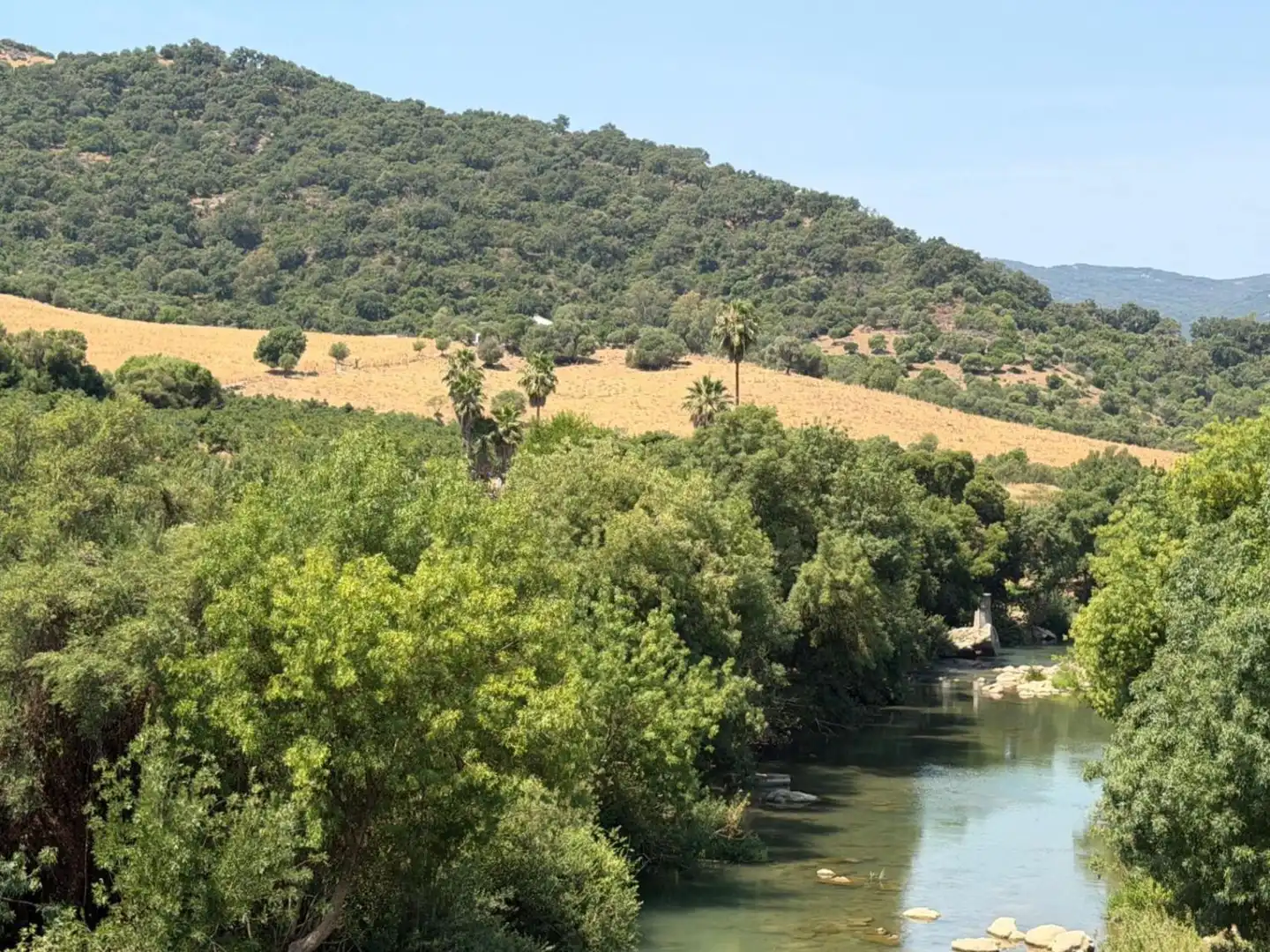 Vista exterior de Finca rústica en venda en Gaucín amb Jardí privat, Terrassa i Piscina