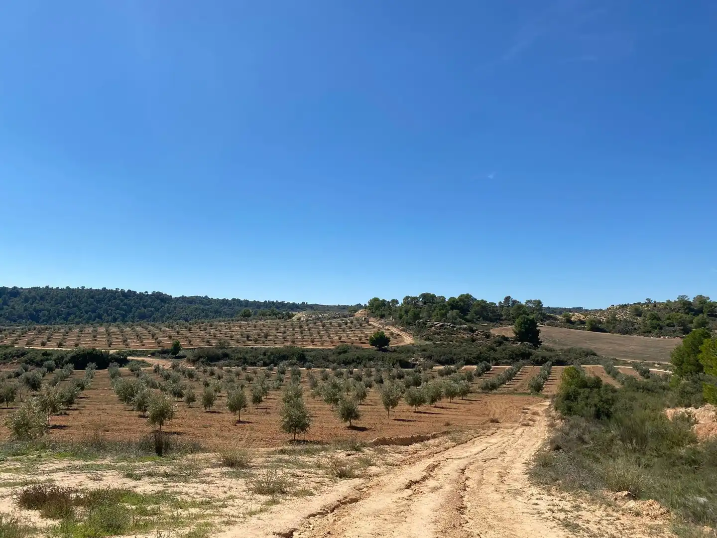 Casa o chalet en venta en Alcañiz con Terraza