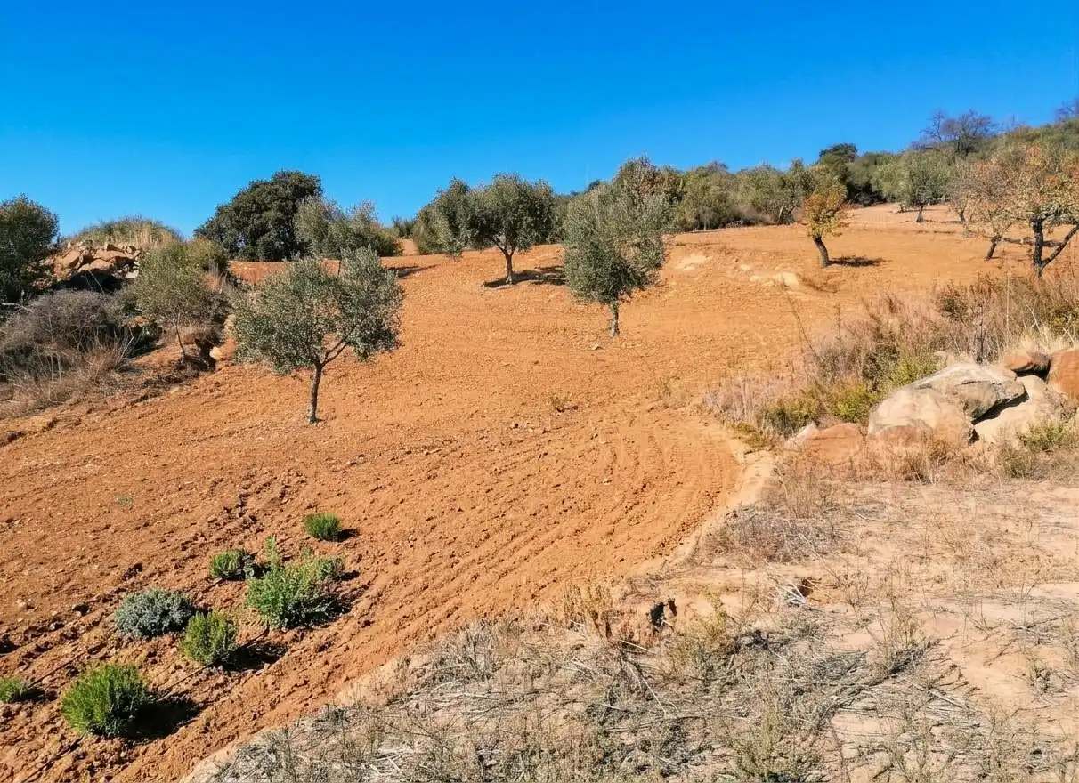 Terreno rustico in vendita a N/A, imagen 5
