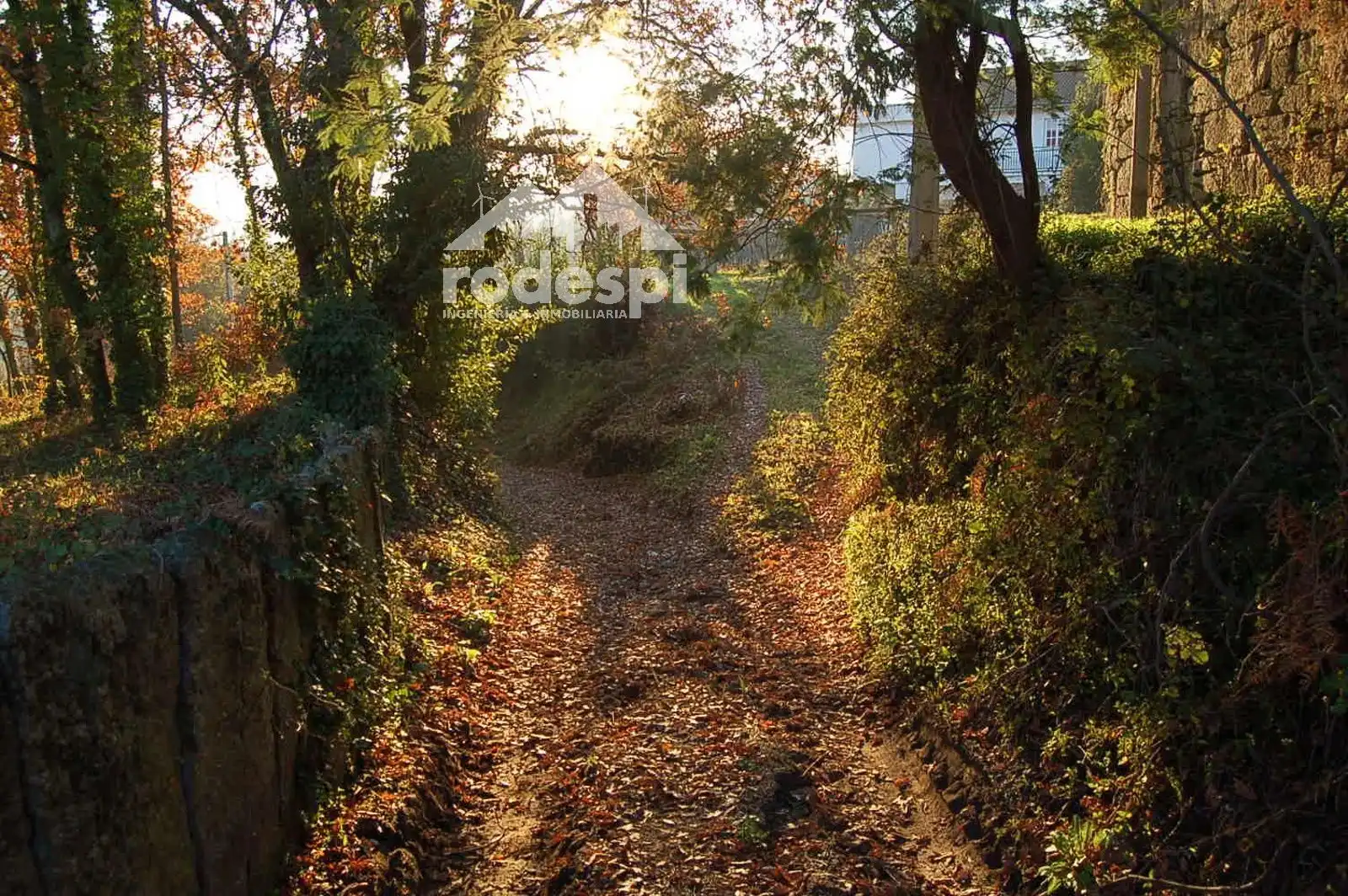 Terrenys i solars en venda a Ponteareas, imagen 8