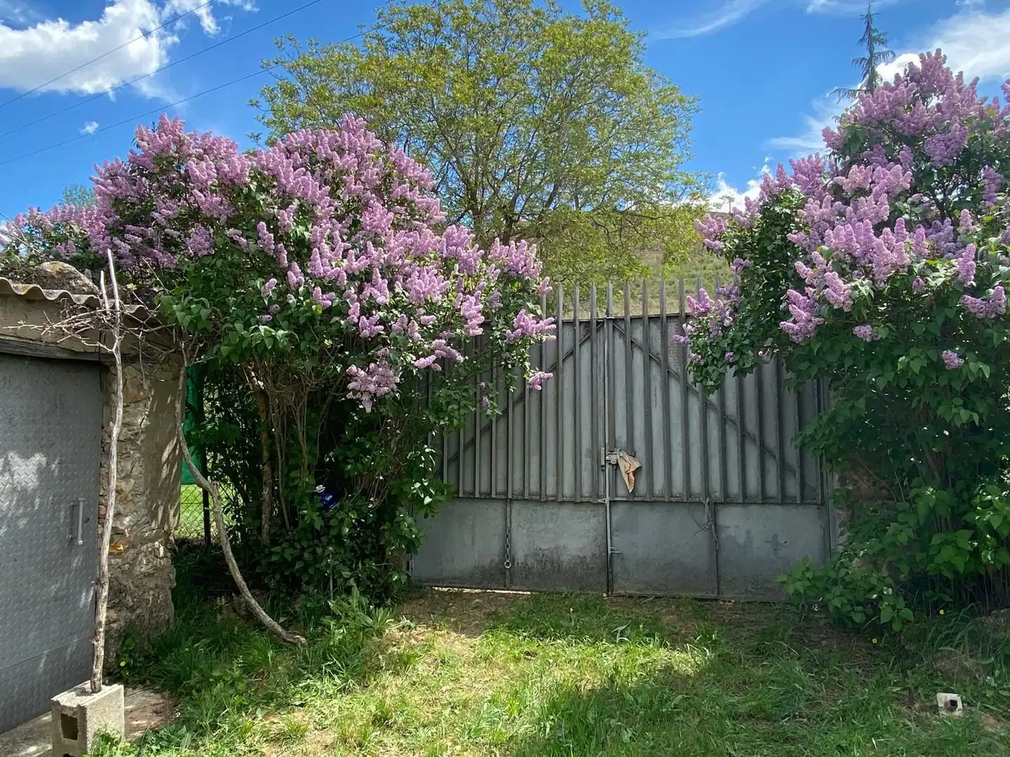 Terreno en venta en Escopete