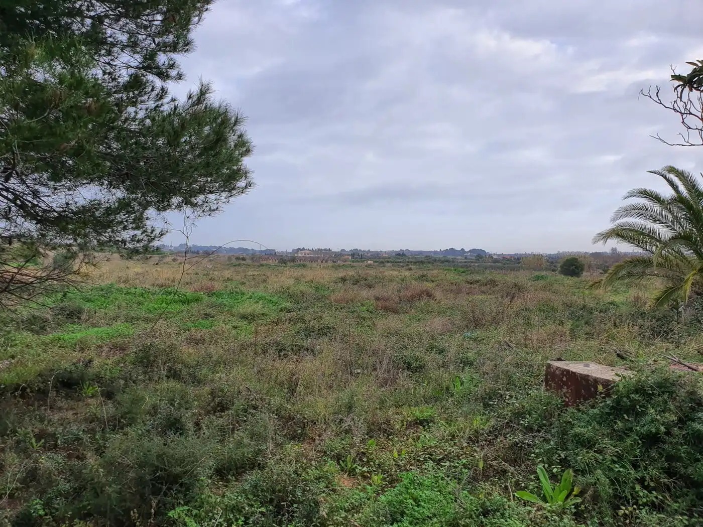 Villa à vendre à Centro, imagen 11