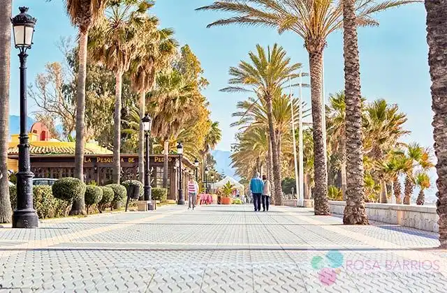 Vista exterior de Piso en venta en Marbella con Terraza, Trastero y Amueblado