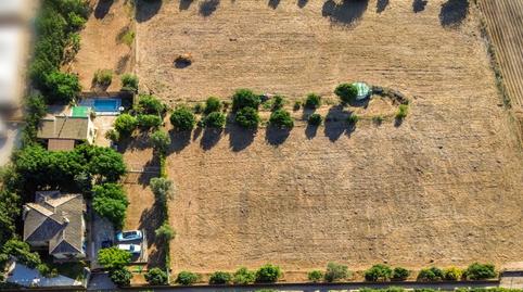 Foto 5 de Casa o xalet en venda a Pelagatos - Pago del Humo, Cádiz