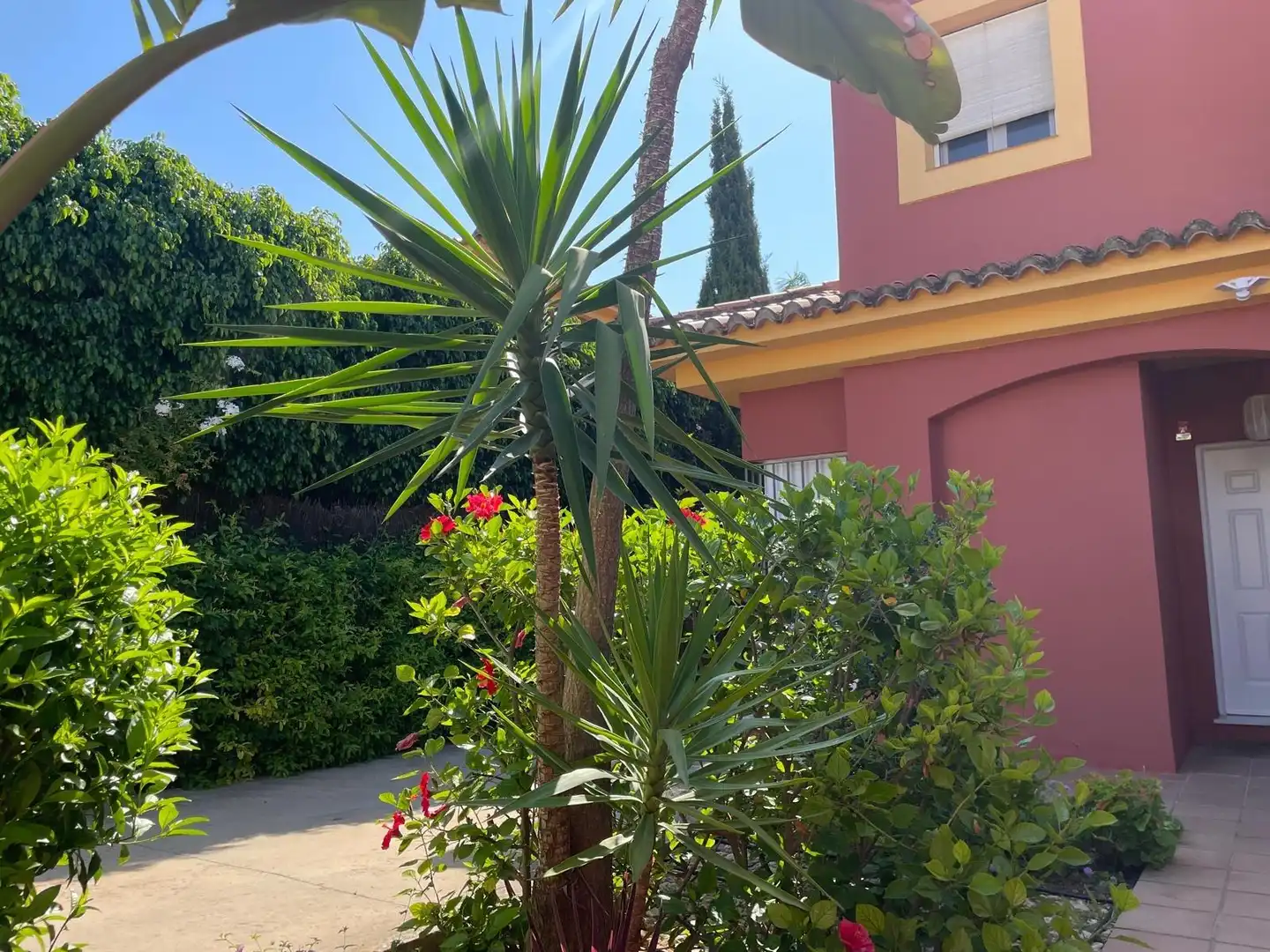 Reihenhaus mit Terrasse zur Miete in Vistahermosa - Fuentebravía, imagen 2