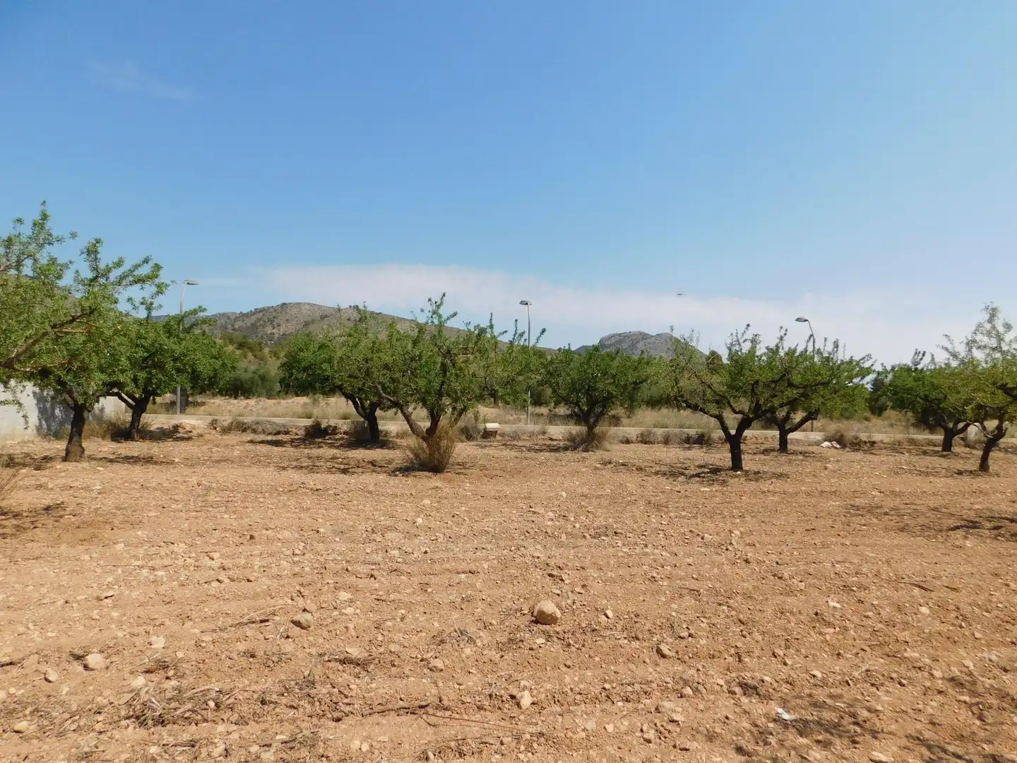 Residential land for sale in Carretera Carretera Llano de Béjar 5, imagen 12