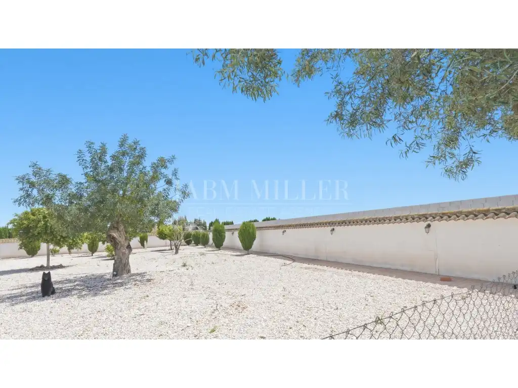 Maison avec jardin à vendre à Dolores, imagen 103