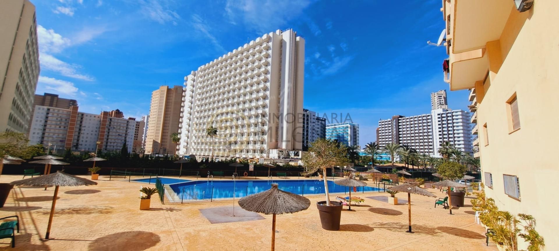 Vista exterior de Estudio en venta en Benidorm con Aire acondicionado y Piscina comunitaria