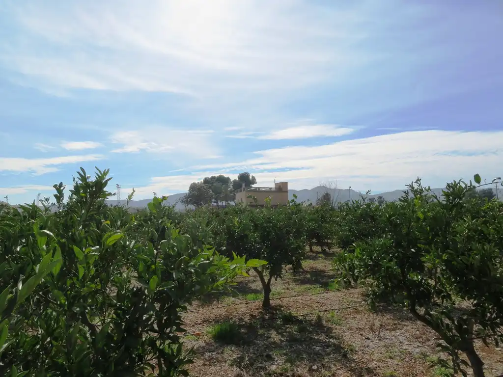 Detached house with terrace for sale in Beniarbeig, imagen 3
