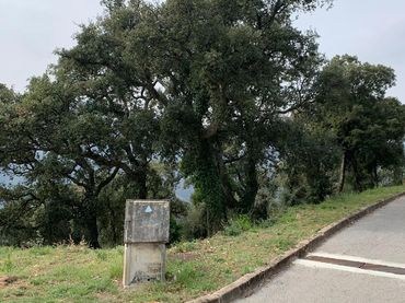 Terreny residencial en venda a Arbúcies