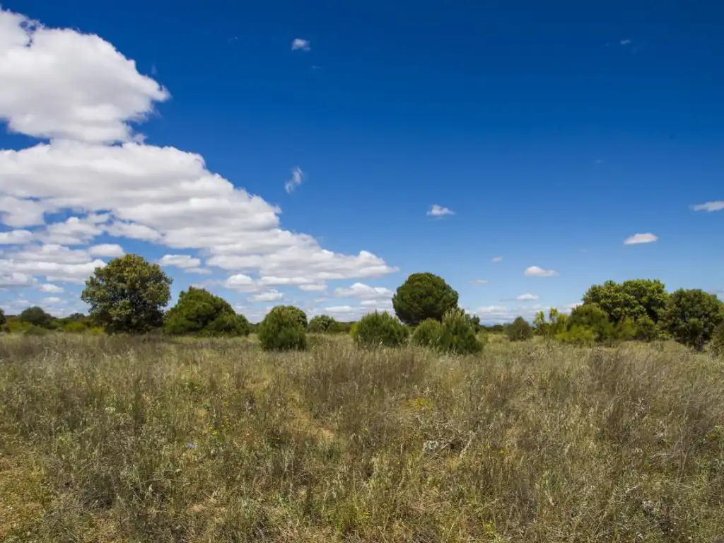 Finca rústica en venda en Navalcarnero