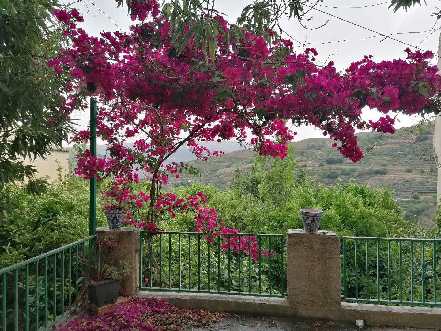 Jardí de Casa o xalet en venda en Ohanes amb Terrassa i Balcó