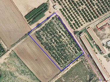 Terreno rustico in vendita a Els Plans