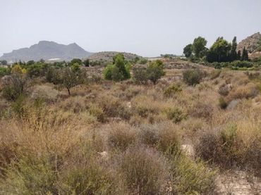 Terreny residencial en venda a Calle Verdegas
