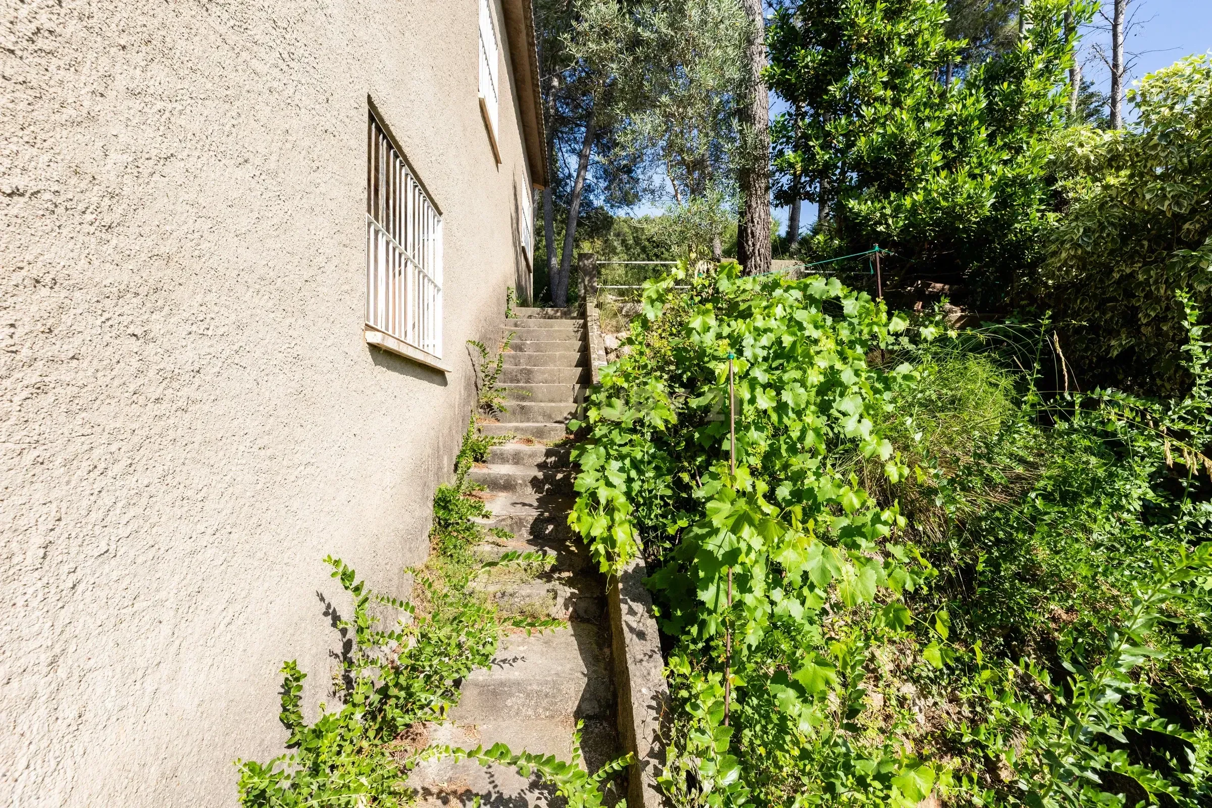 Vista exterior de Casa o xalet en venda en Gelida