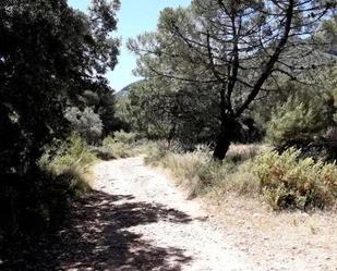 Exterior view of Land for sale in Alhaurín de la Torre