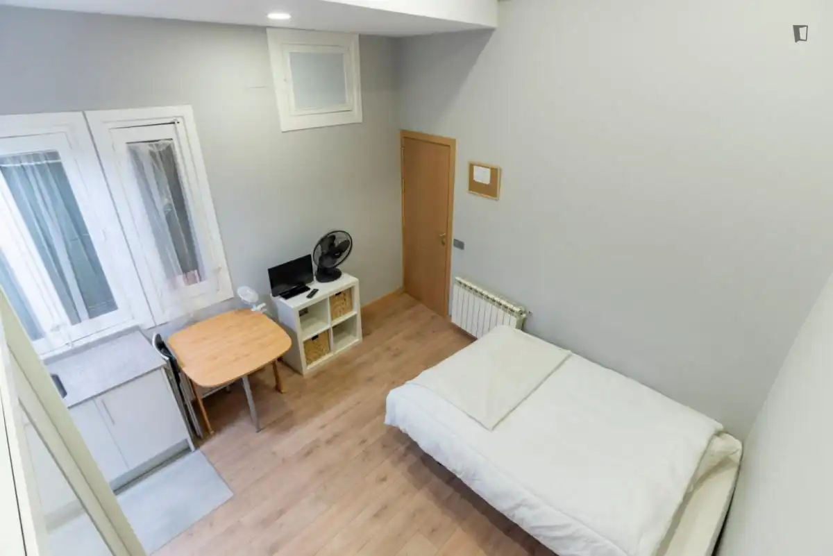 Estudio en alquiler en Centro, imagen 6